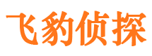 滴道市调查公司